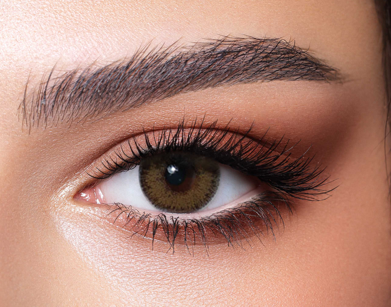 Radiant_Hazelnut__11270