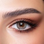 0001818_silver-mist_3776653e-0501-4c2d-bb27-ea015e0a6c5d